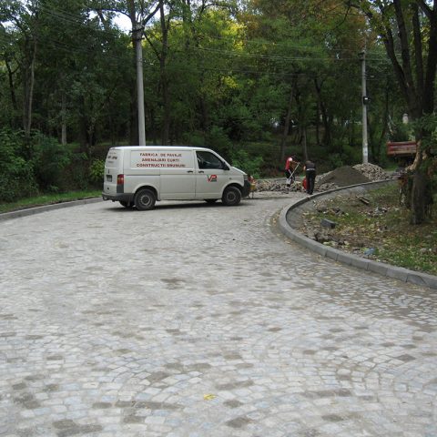 Pavare alee rezidențială